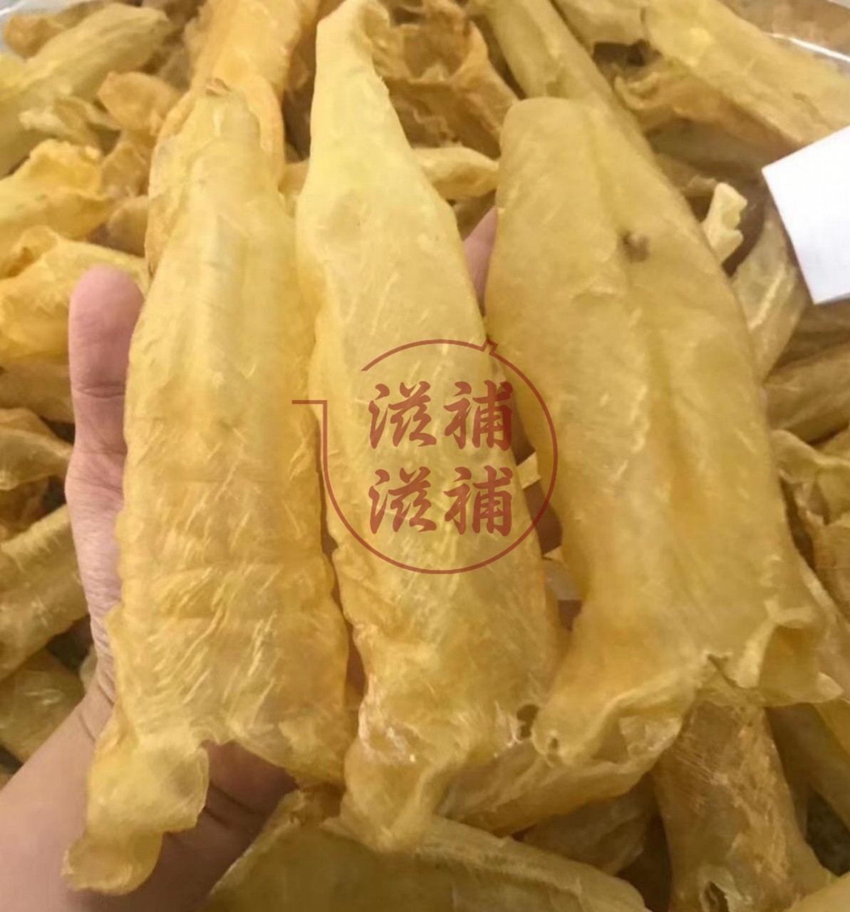 16頭花膠筒