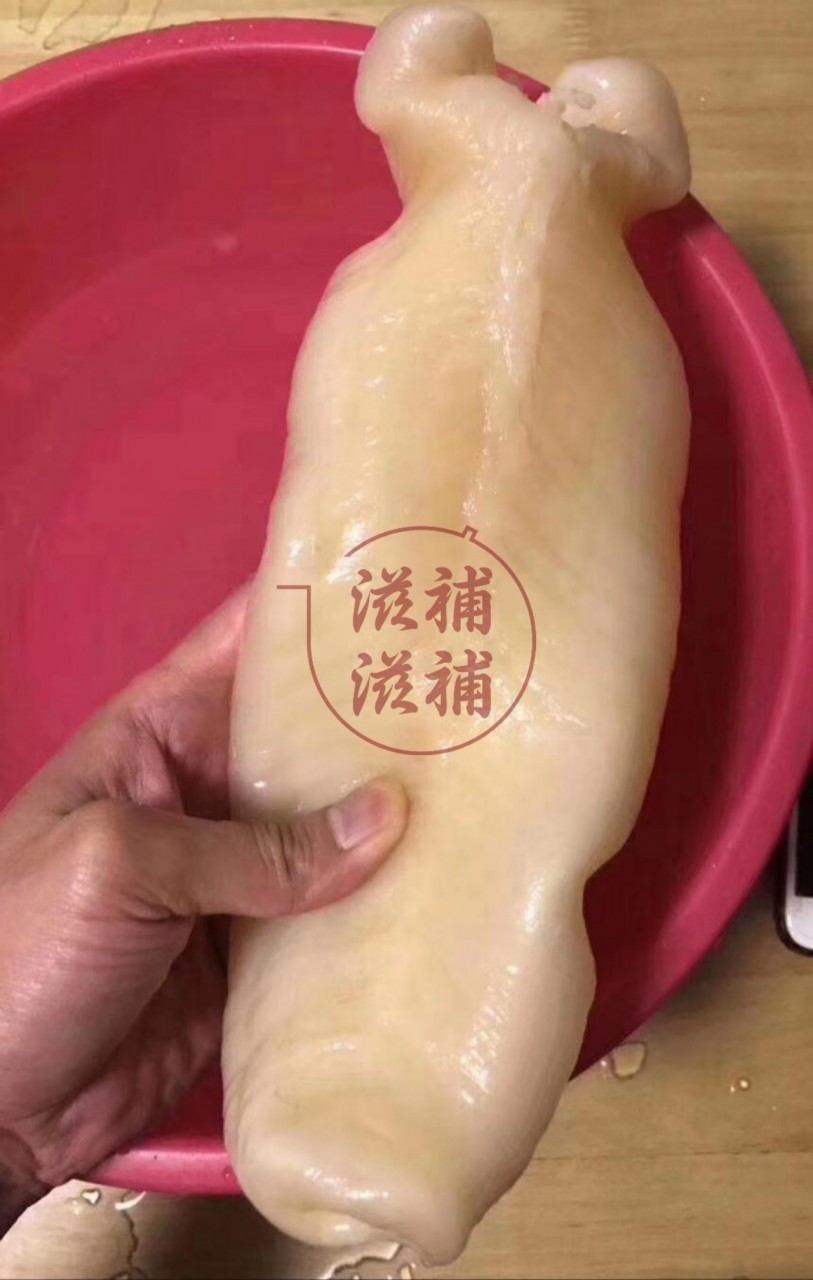 16頭花膠筒
