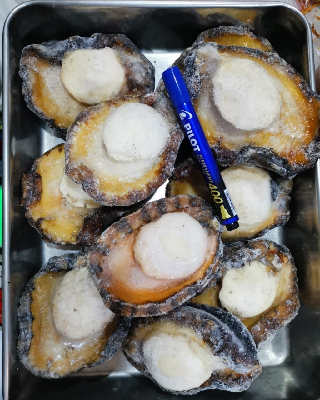 深海野生大黑邊鮑魚