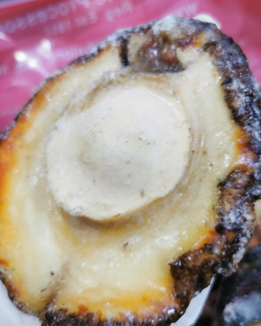 深海野生大黑邊鮑魚
