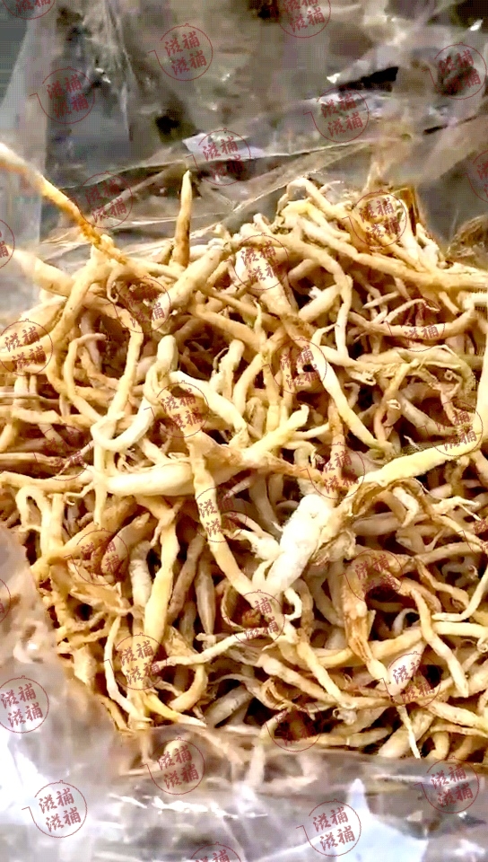 ~鹽爆鱔肚~