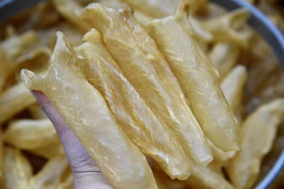 28頭花膠筒