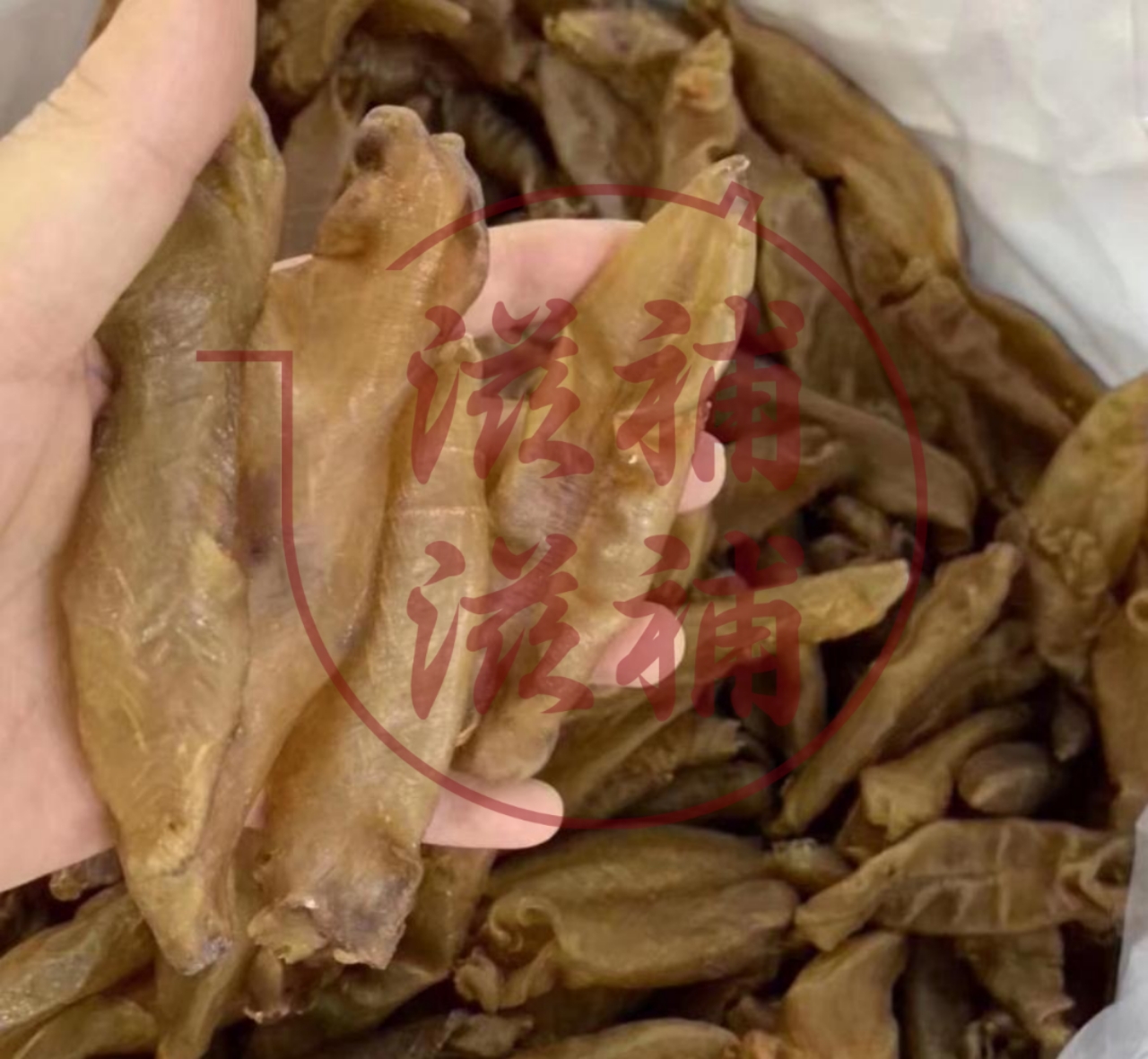 40頭老身膠筒(半斤裝)