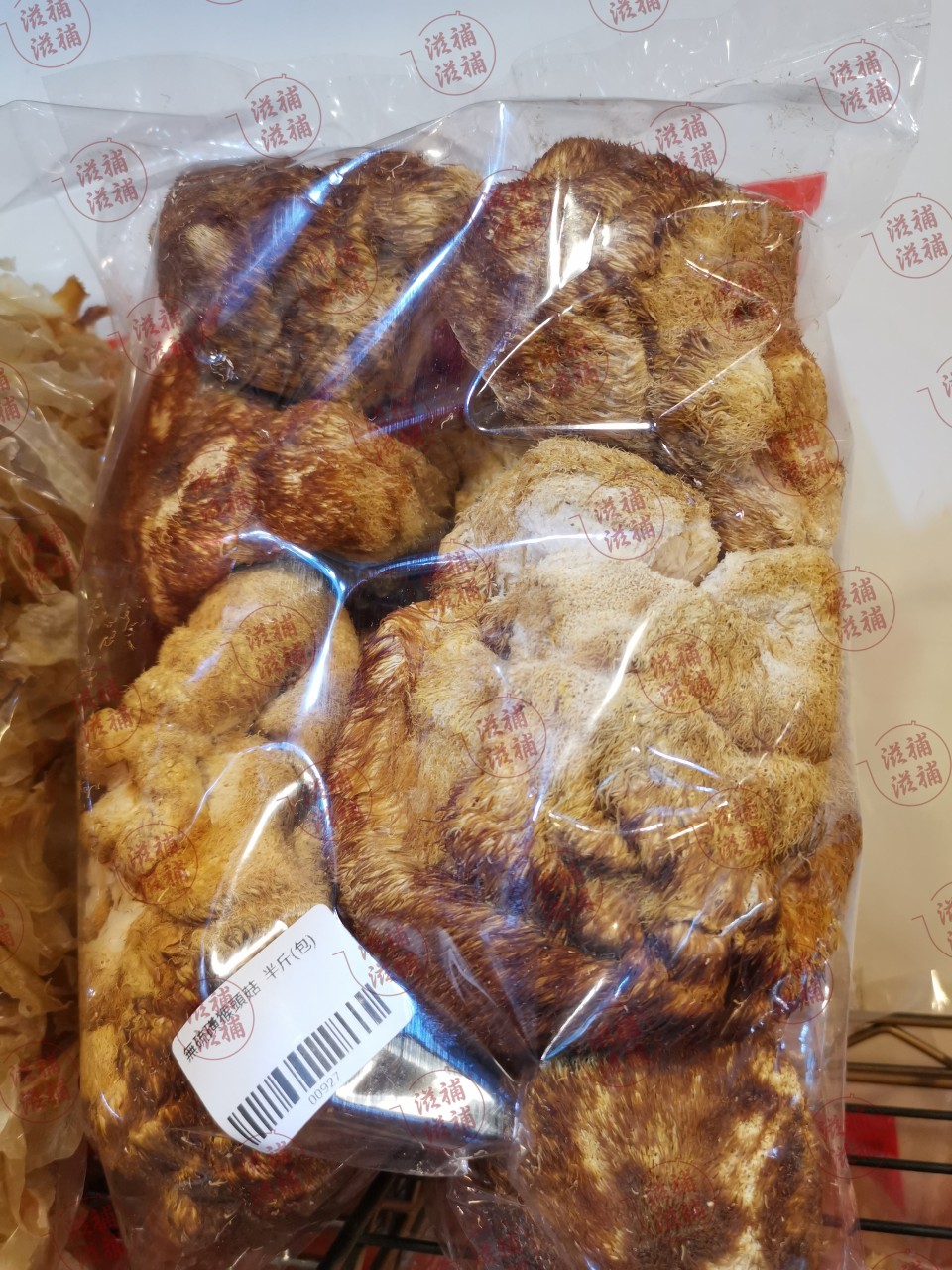原色猴頭菇