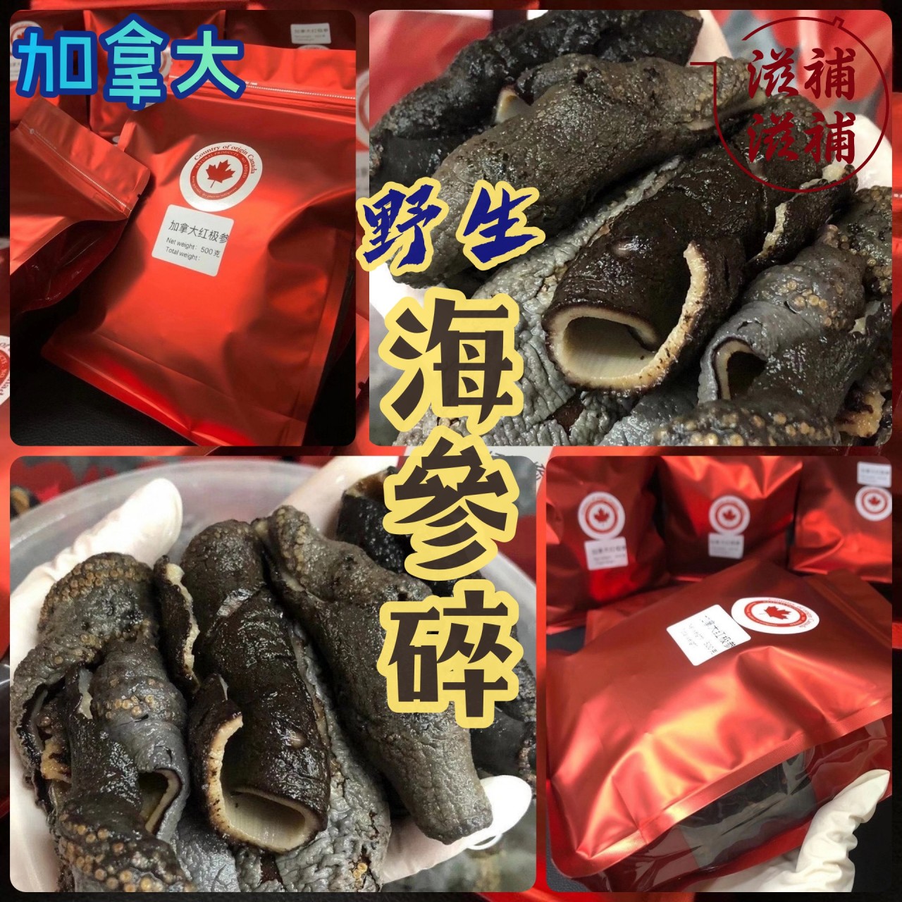 加拿大海參碎
