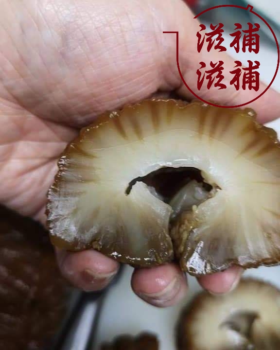 澳洲黃玉參