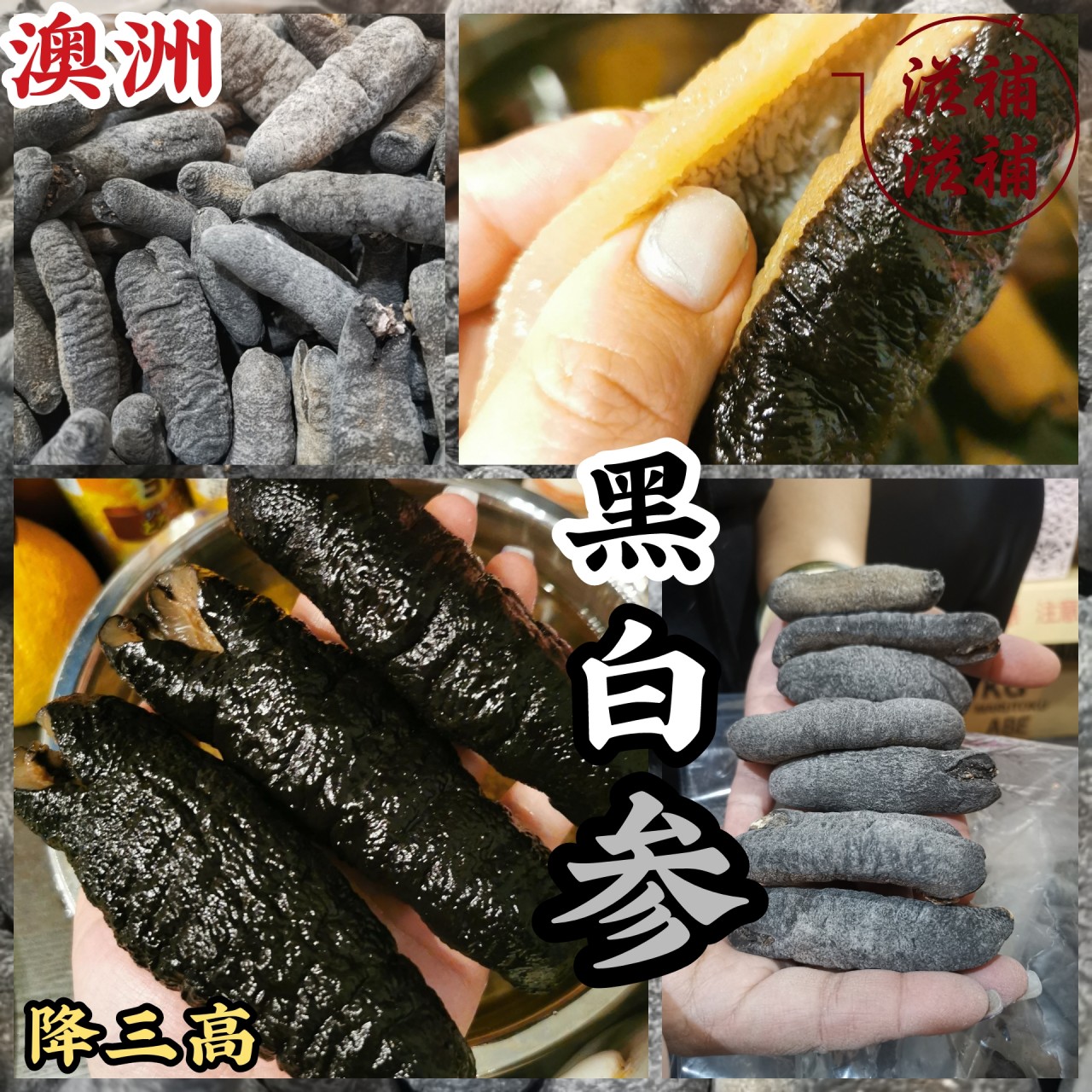 澳洲黑白參