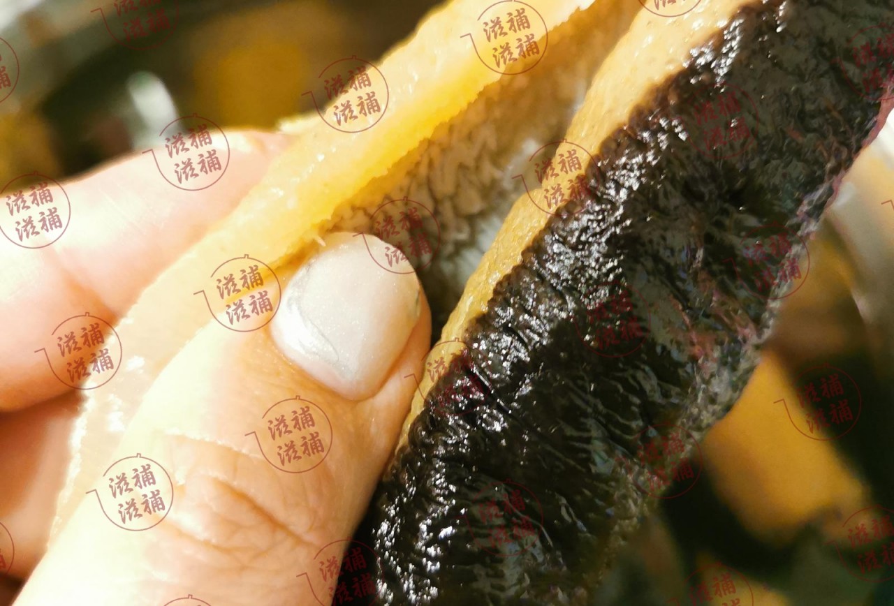 澳洲黑白參
