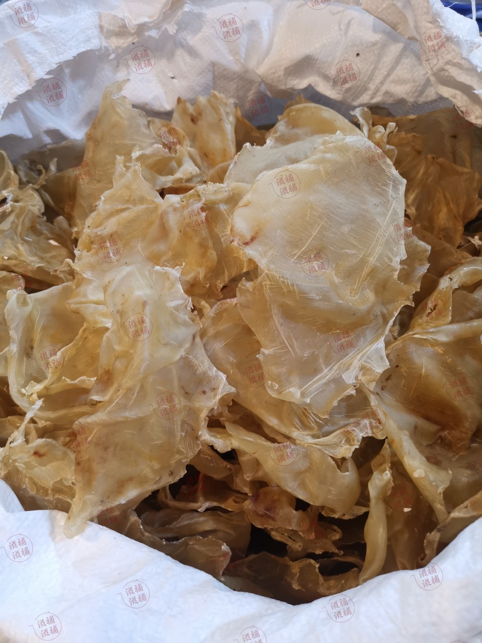 咸水花膠片