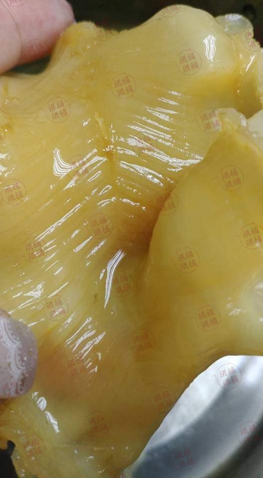 咸水花膠片