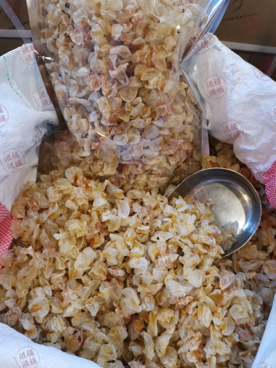 雞泡膠BB(二両裝)