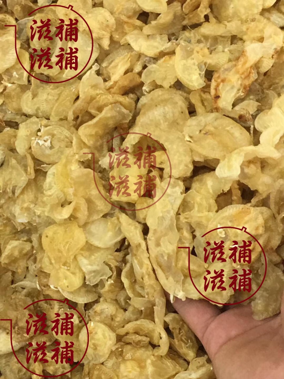 赤魚膠BB