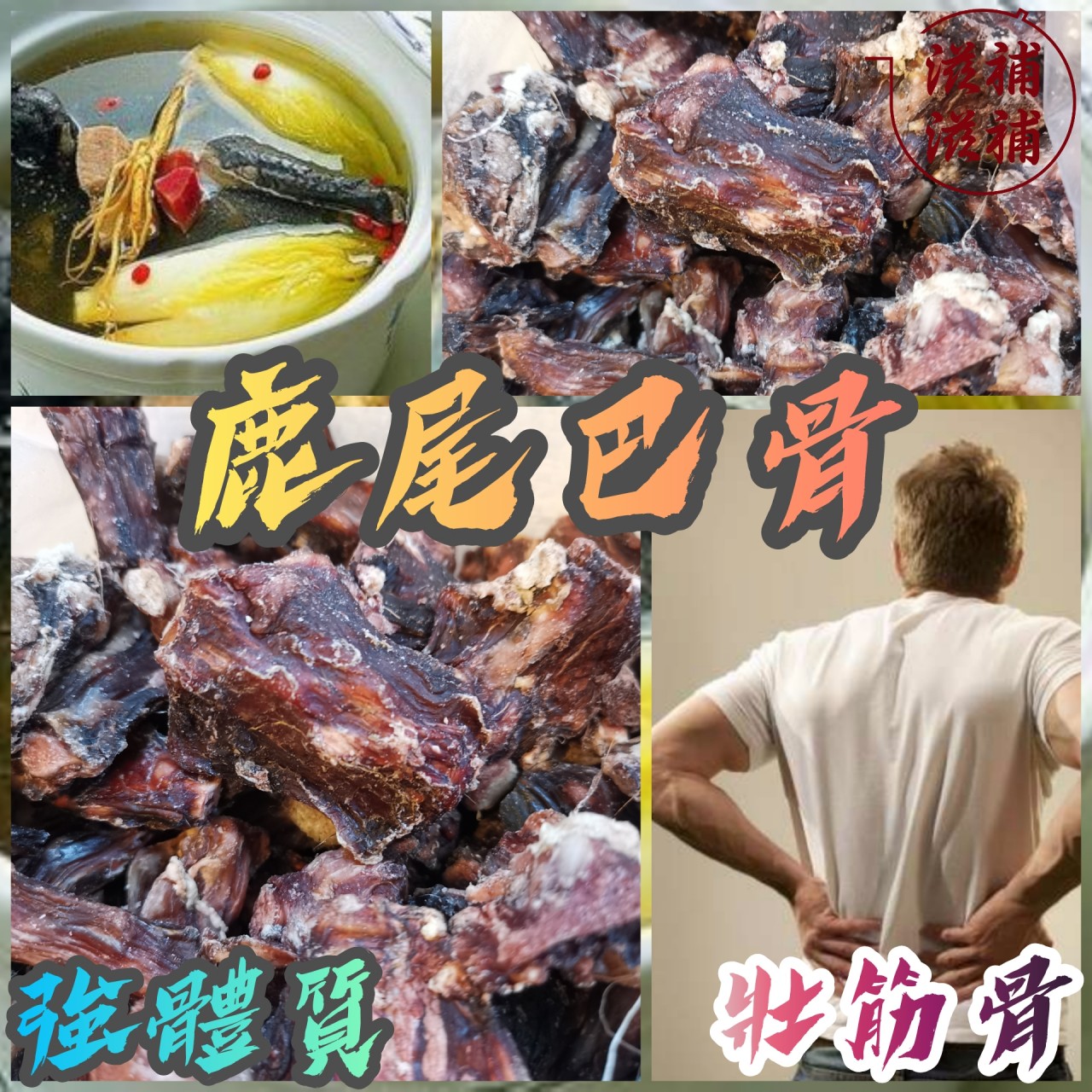 鹿尾羓骨