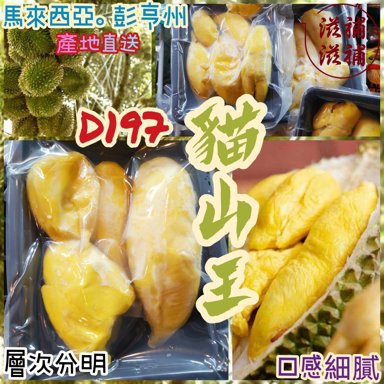馬來西亞老樹貓山王