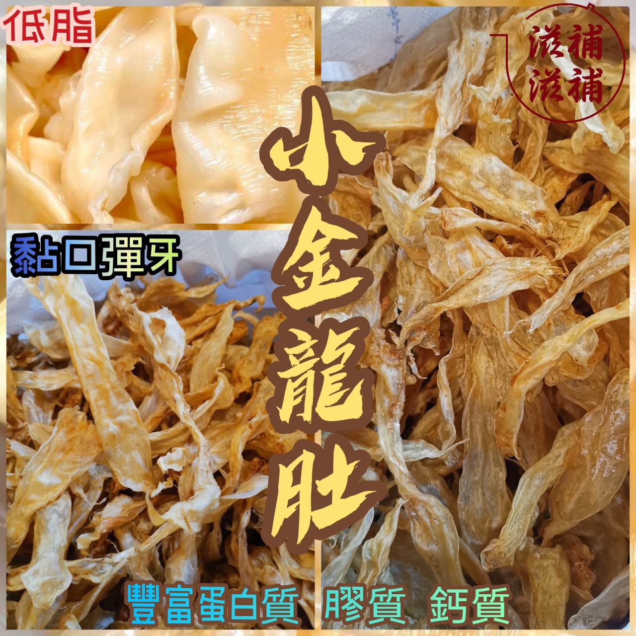 野生金龍肚花膠筒