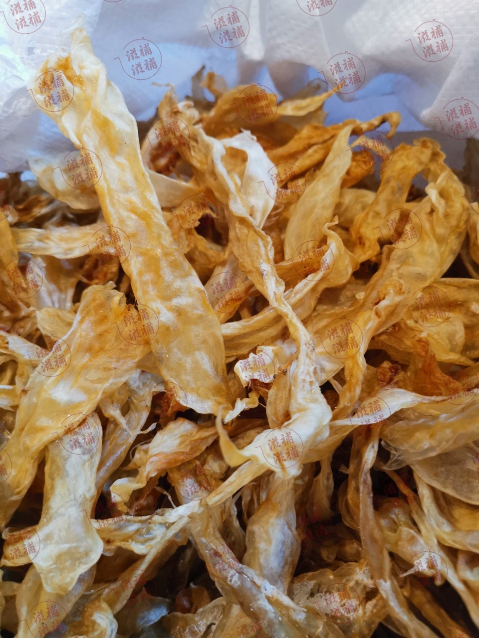 野生金龍肚花膠筒