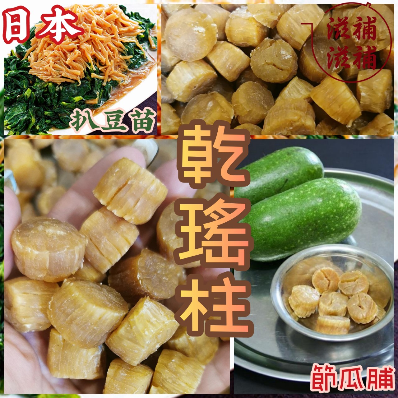 日本瑤柱