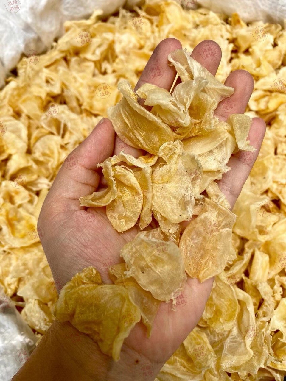 抵食雞蛋膠