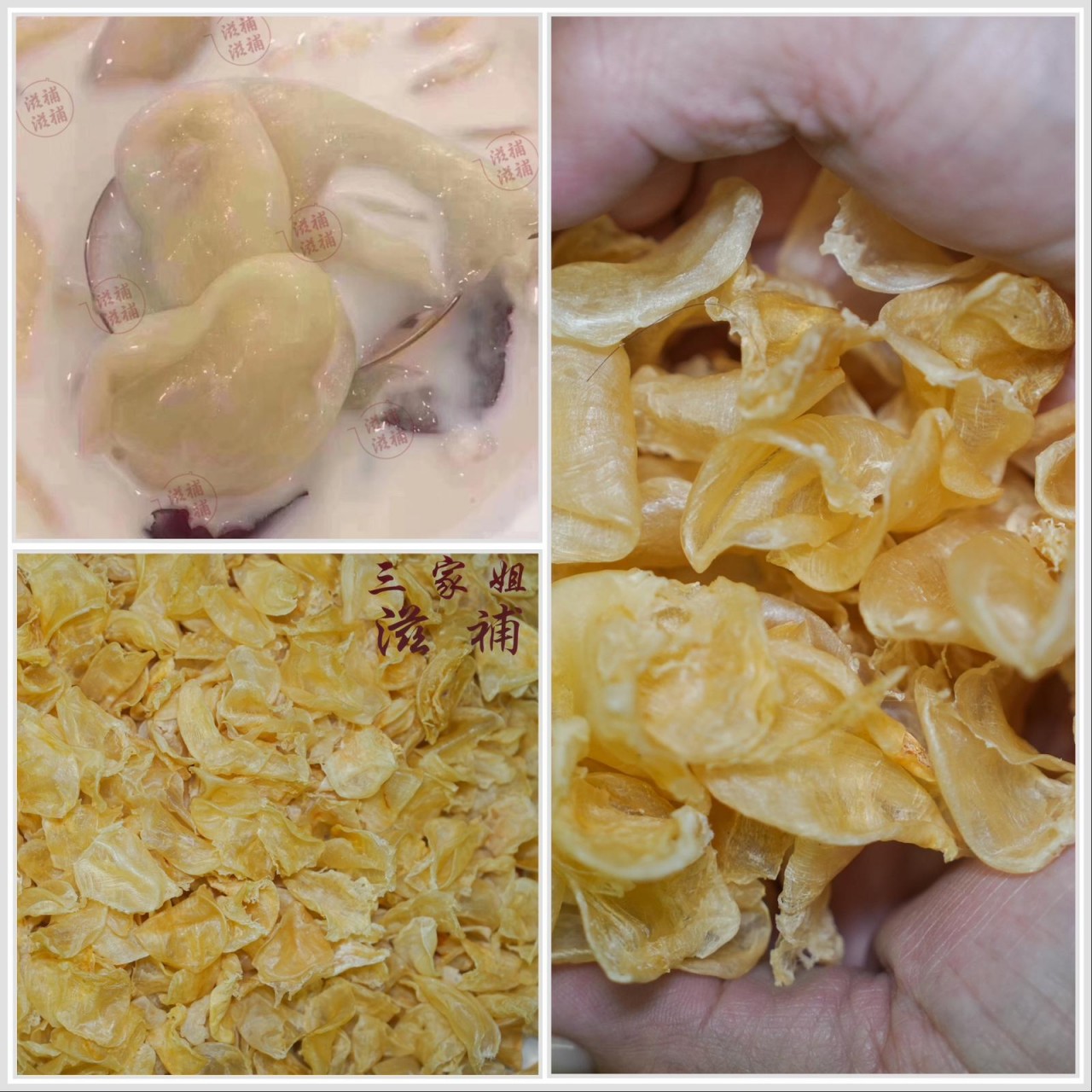 抵食雞蛋膠