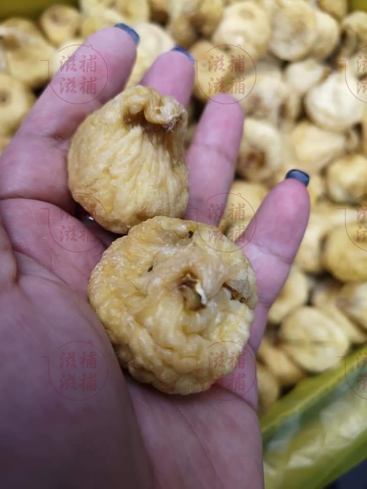 南美XXL激大激溏心無花果