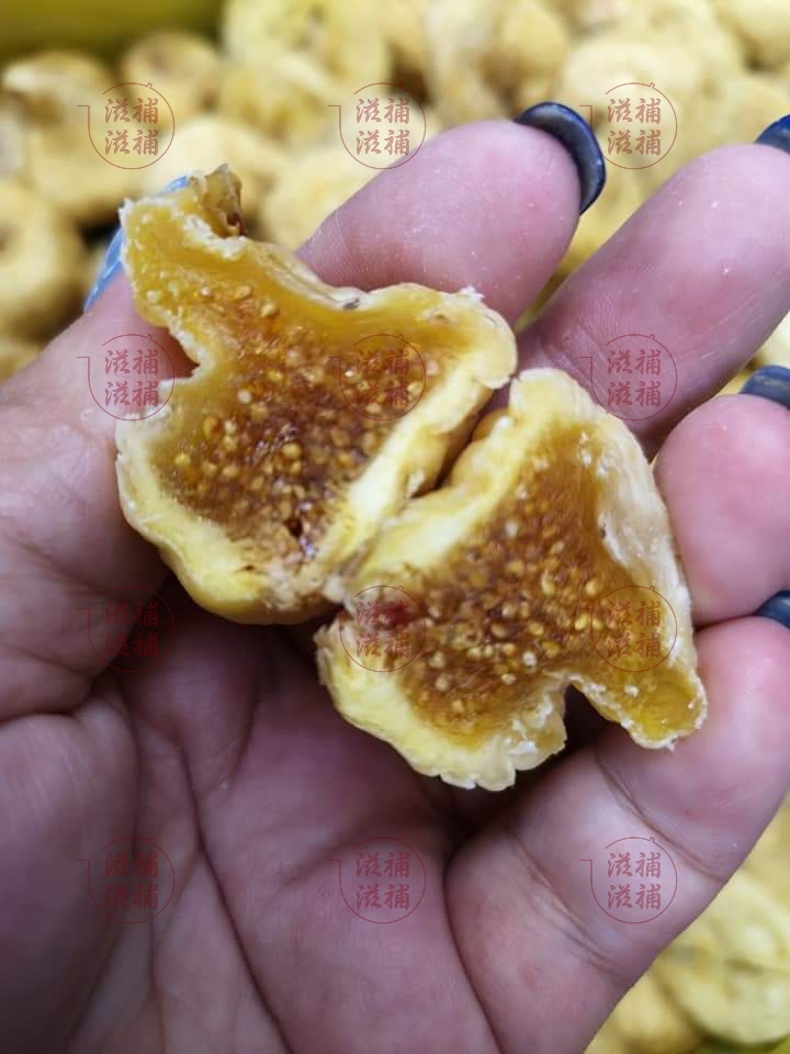 南美XXL激大激溏心無花果