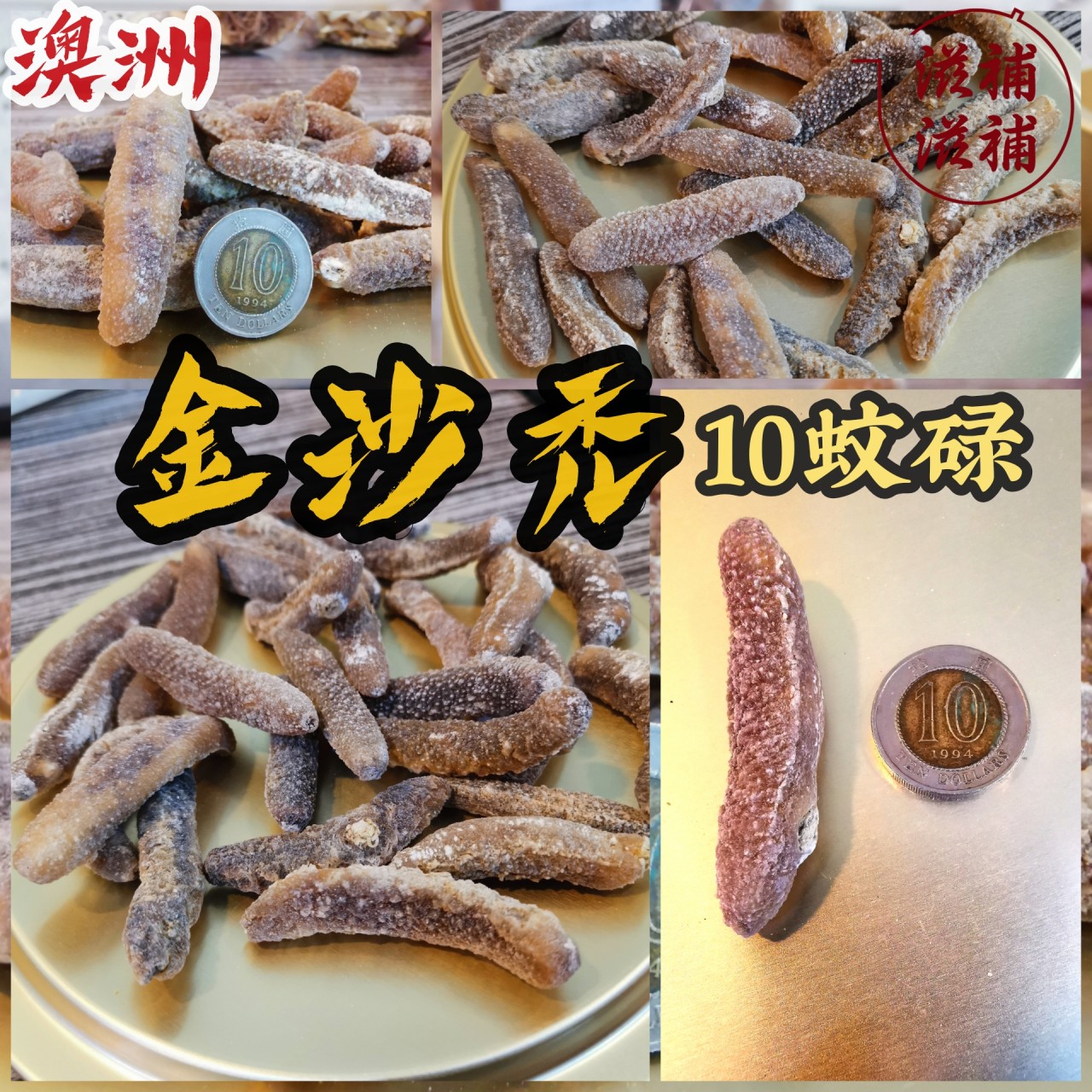 澳洲金沙禿65-70頭