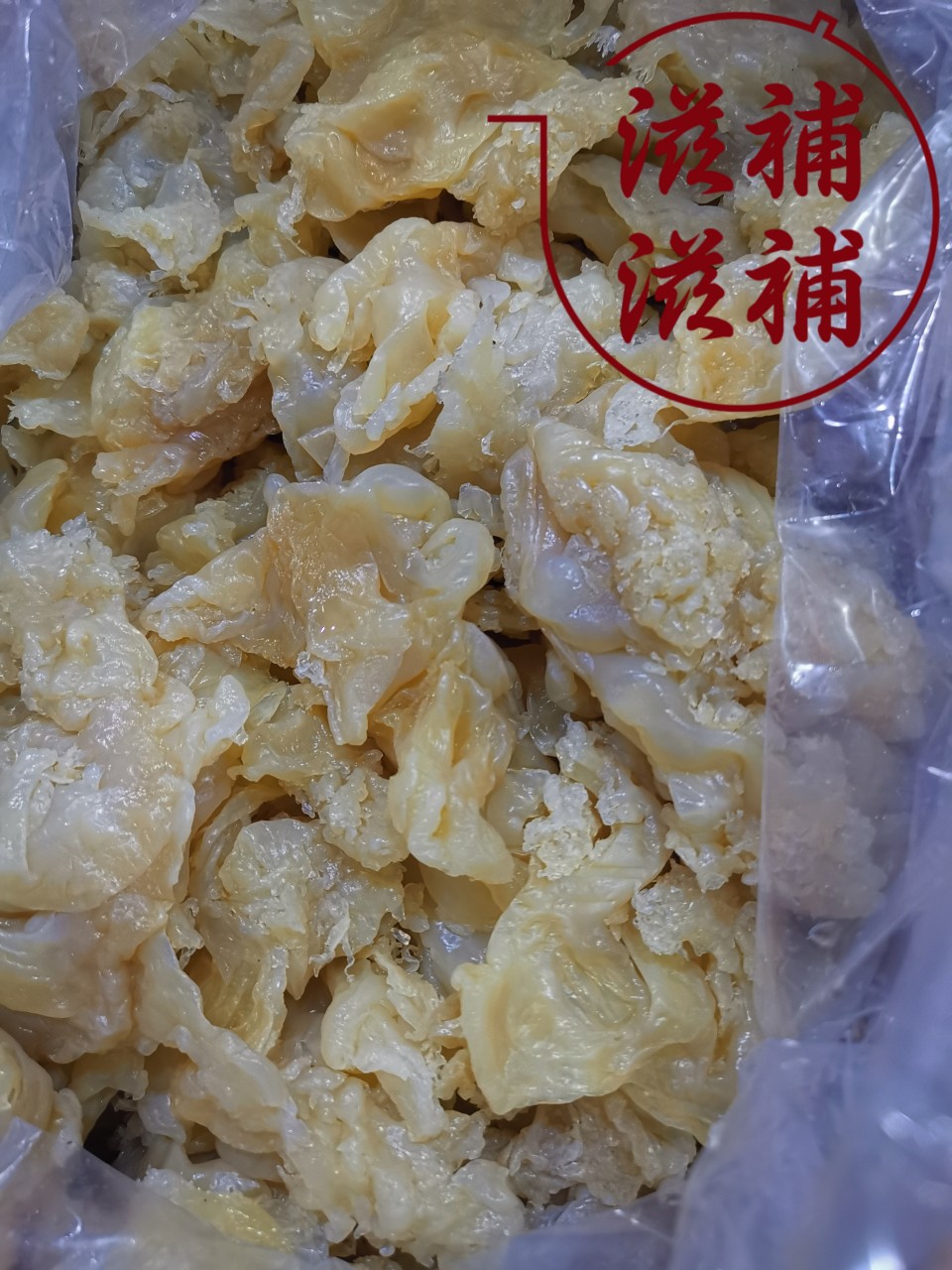 海哲頭