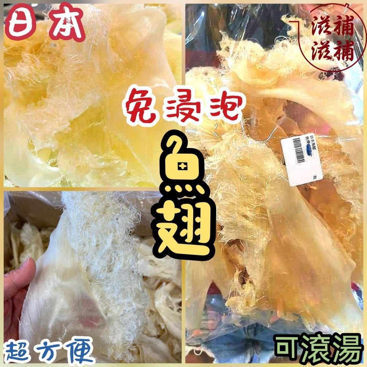 日本免發魚翅