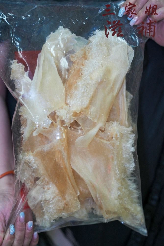 日本免發魚翅