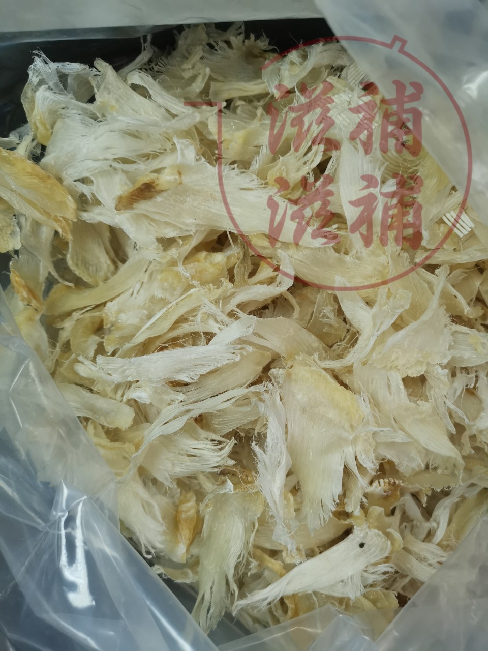 青片魚翅