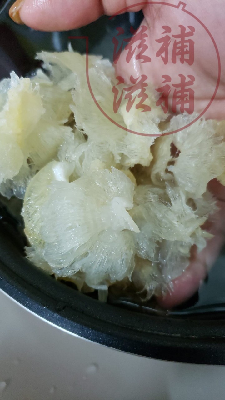 青片魚翅