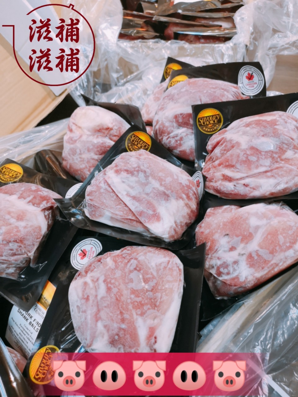 加拿大無激素豬展