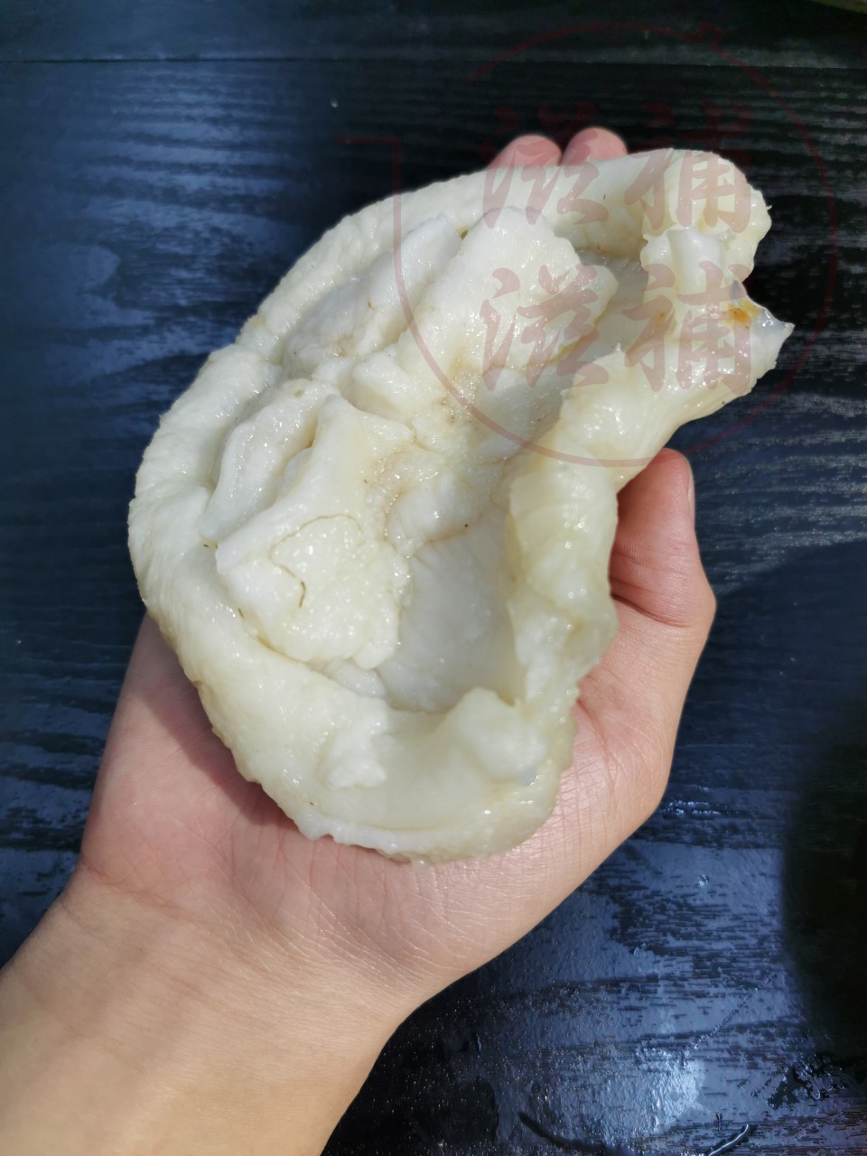 頂級赤魚肉韻花膠