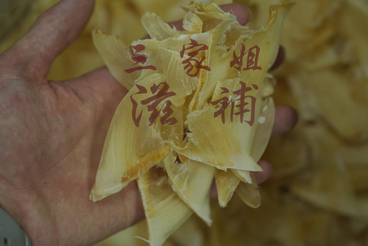 黃金全翅