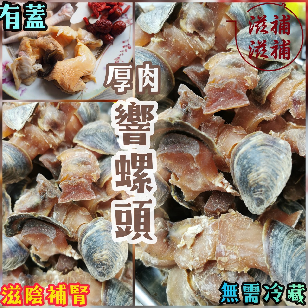 有蓋 厚肉響螺頭