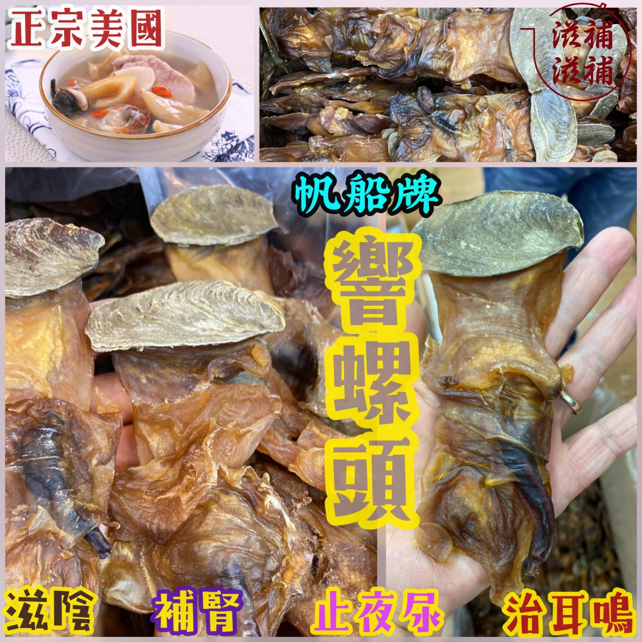 正宗美國帆船牌響螺頭L SIZE