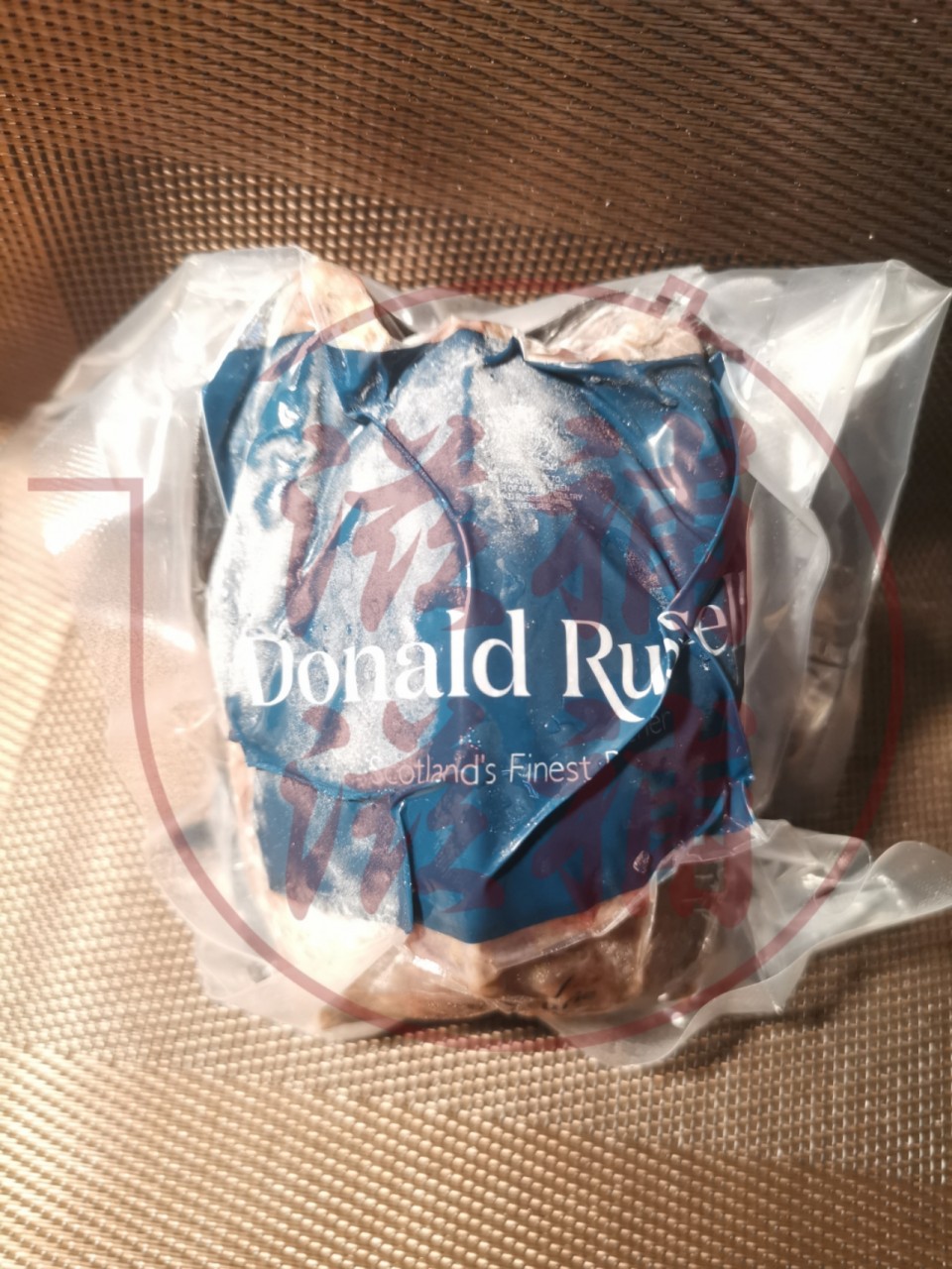 英國Donald Russell班尾林鴿