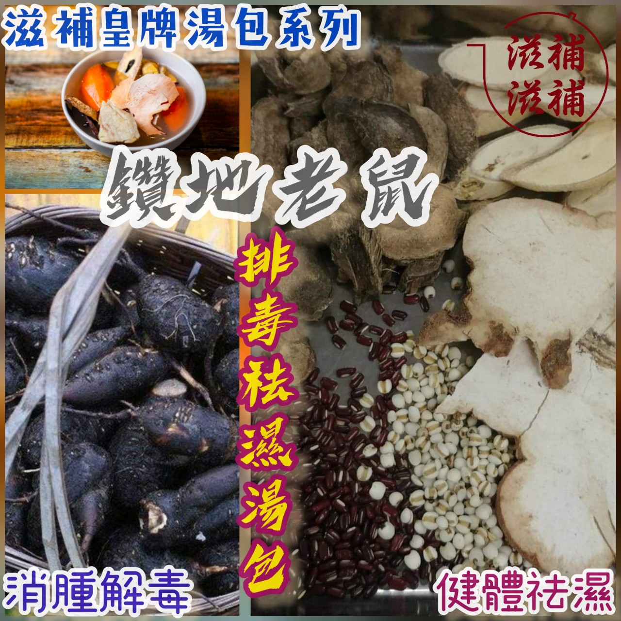 鑽地老鼠排毒去濕健脾湯