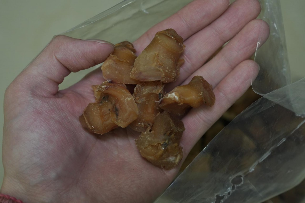 美國紅螺頭