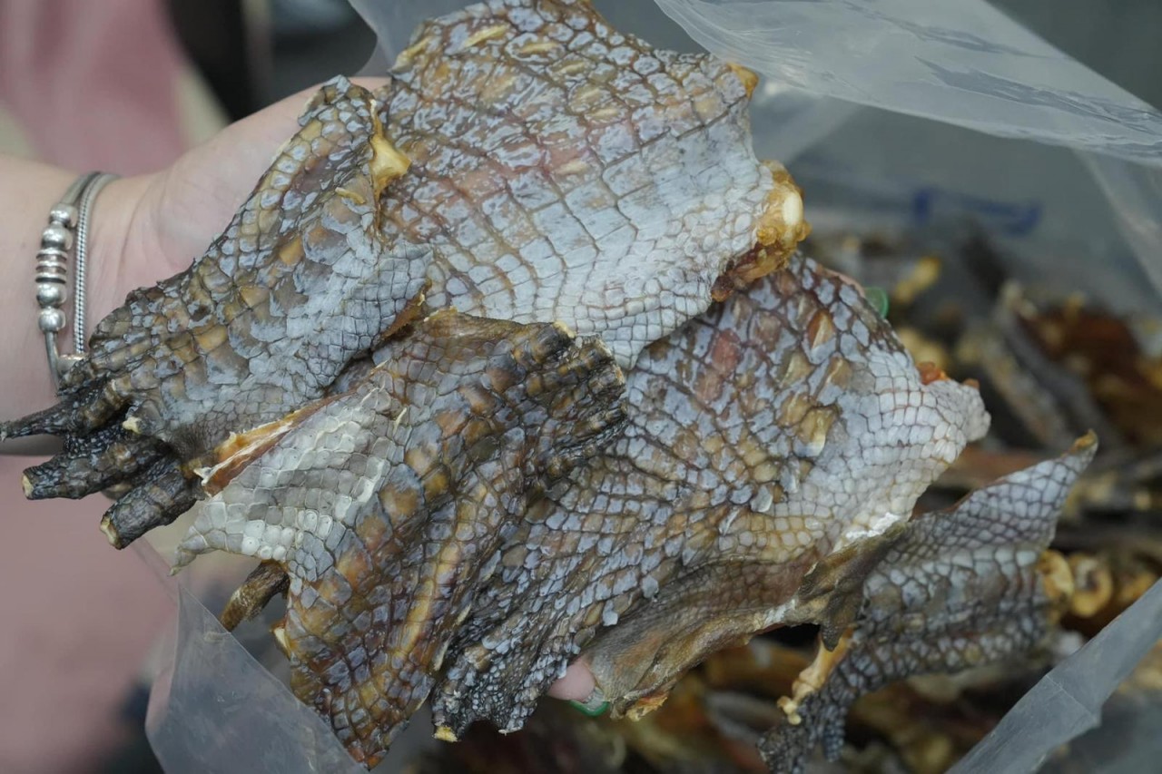 泰國鱷魚掌