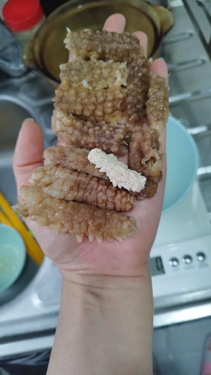 印尼刺參仔(300頭)