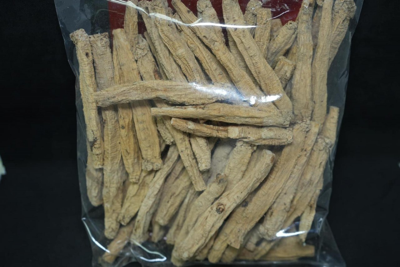 糖心粗黨參