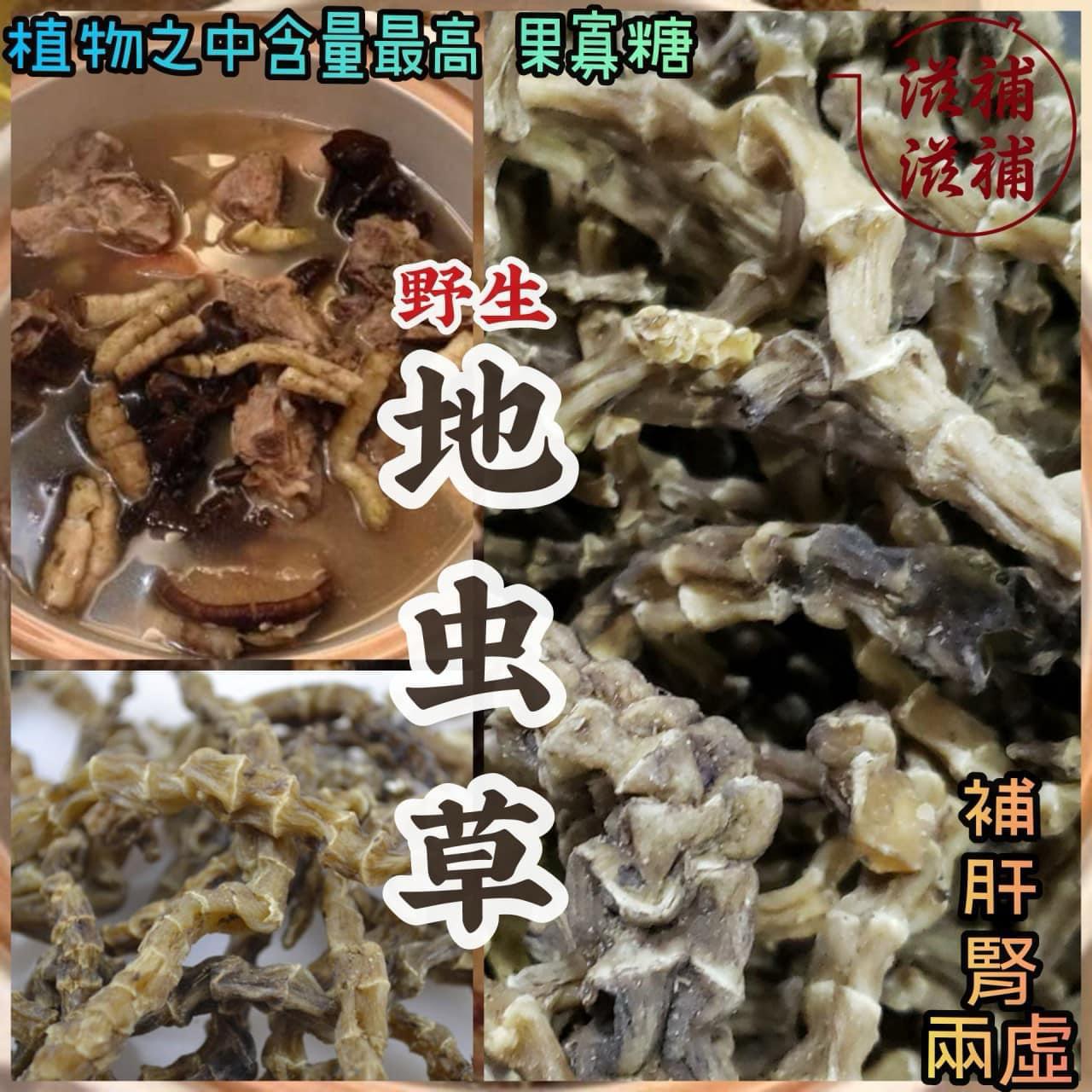地參又名地蟲草