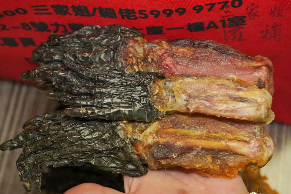鱷魚掌膠質超重