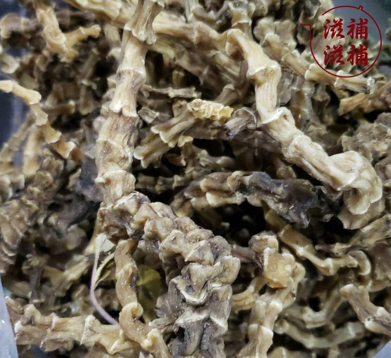 地參（地蟲草）