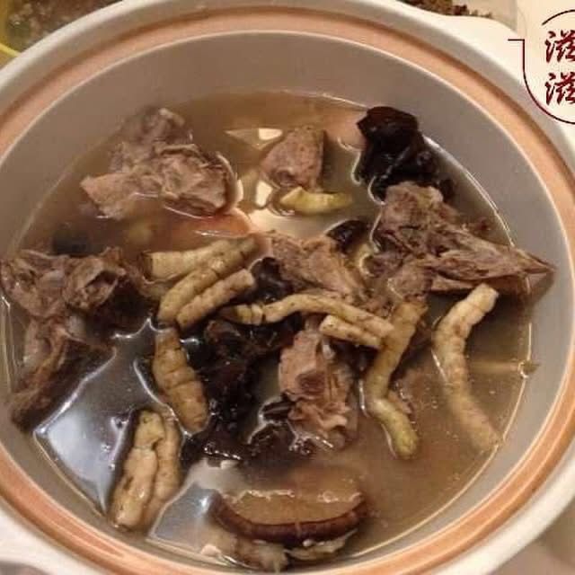 地參（地蟲草）