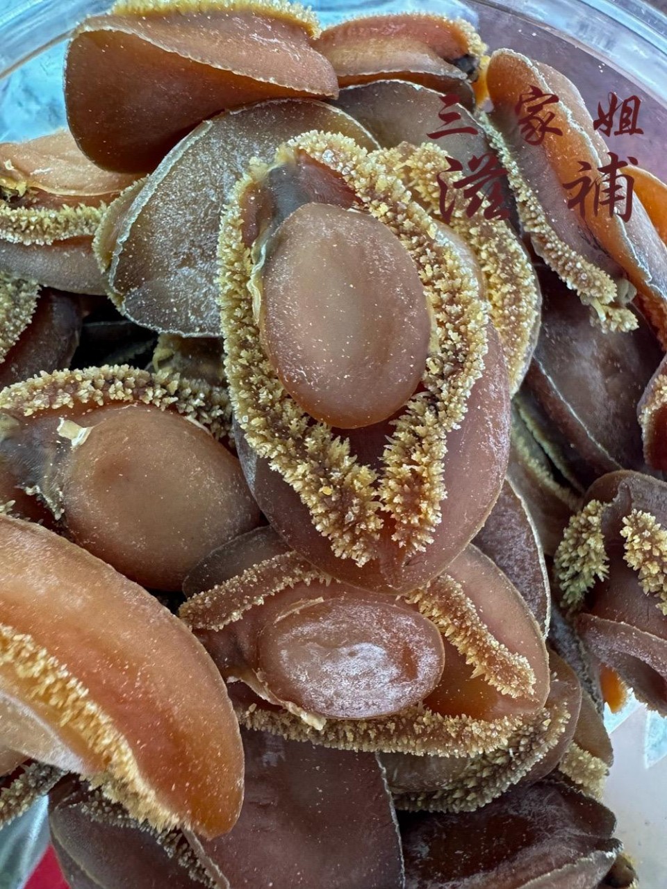 南非吉品鮑魚（約 49-53 隻）