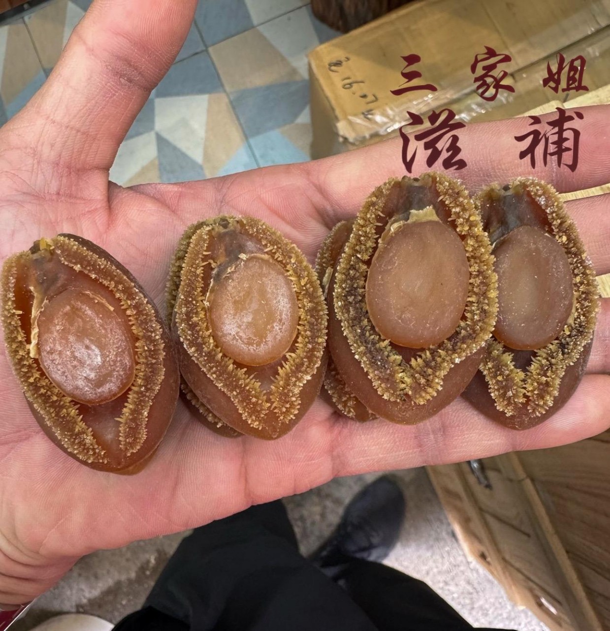 南非吉品鮑魚（約 49-53 隻）