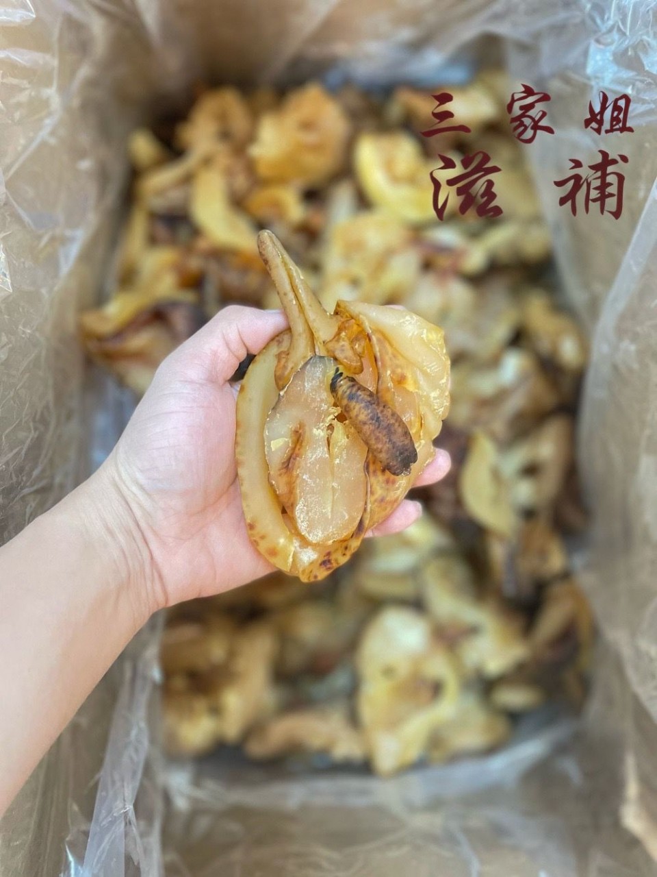 激大螺咀（約 7-9 隻)