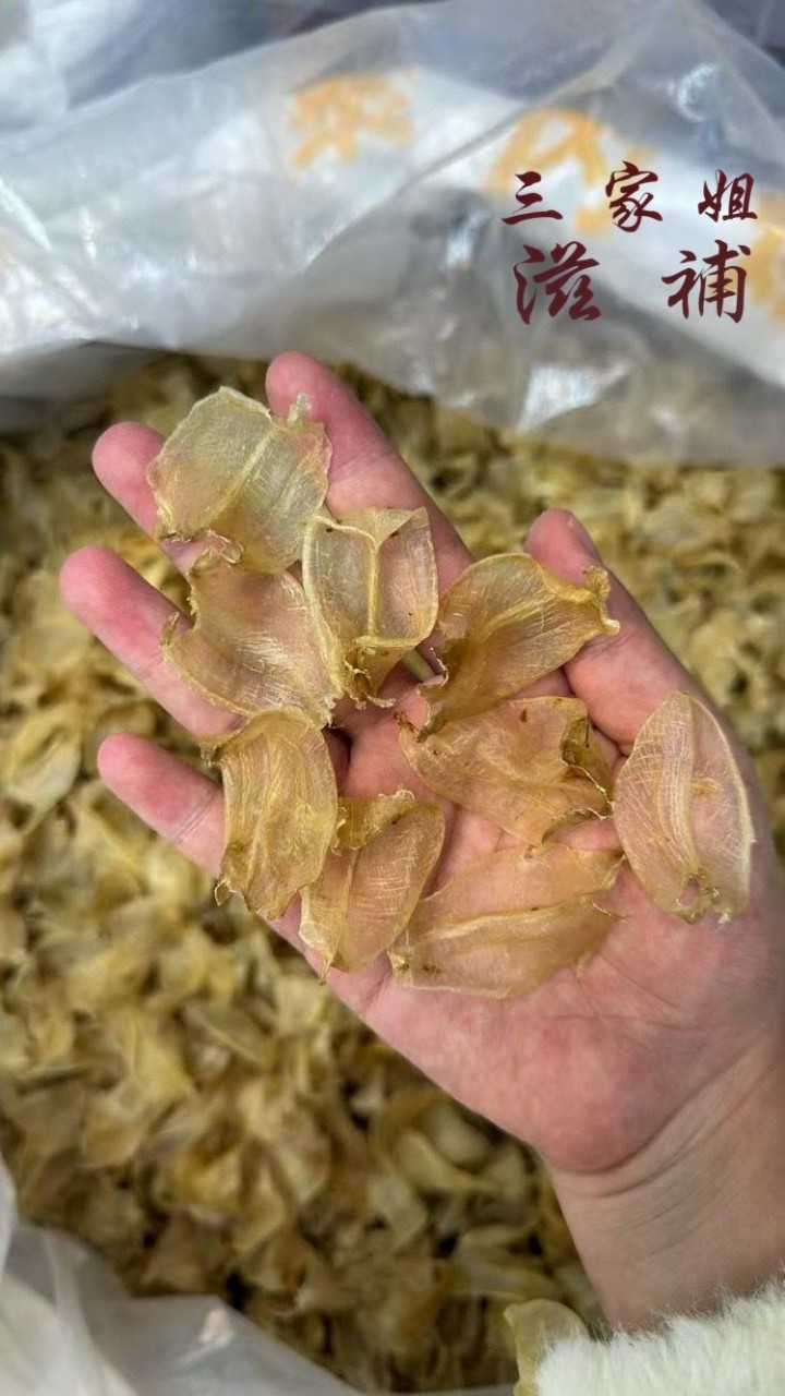 印度野生白花膠